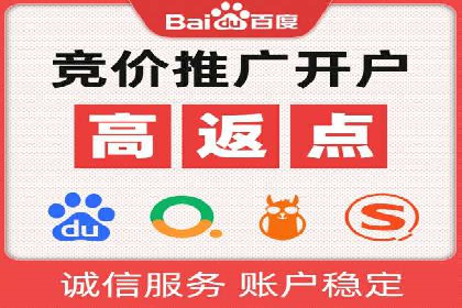 行业趋势下的SEM竞价代运营策略及成功实例